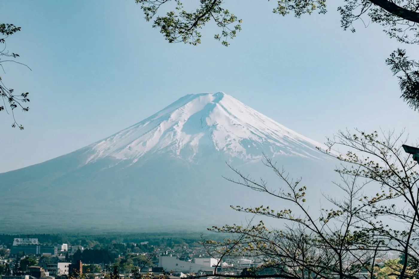 A practical guide to the cost of studying in Japan